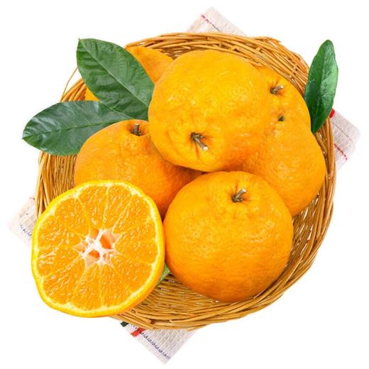 春见耙耙柑4个650g+ 商品图1