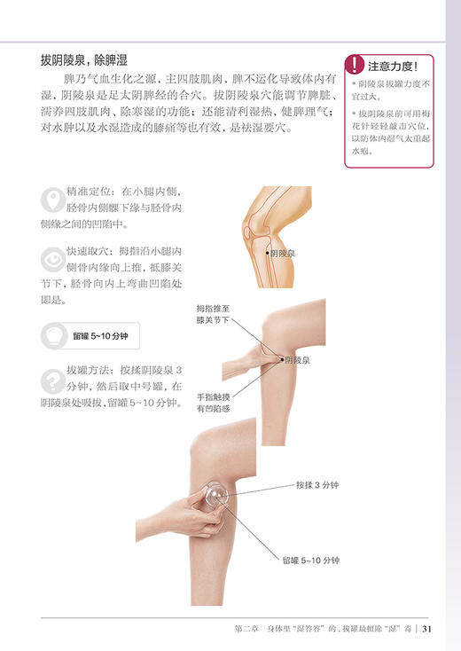 拔罐除湿寒痰瘀（汉竹）新书 中医养生 保健 拔罐排毒 祛病美体 商品图3