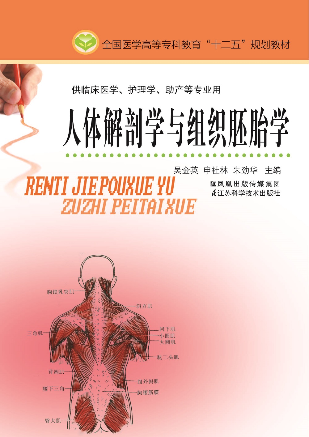 人体解剖学与组织胚胎学(主编:吴金英)