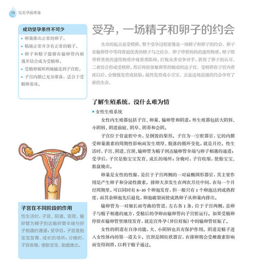 完美孕前准备 （汉竹）新书 孕产育儿 孕前准备 孕期指导 商品图2