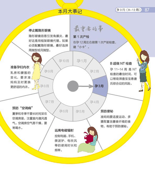 怀孕产检分娩全程指导 （汉竹）孕产育儿 孕期指导 孕妇饮食  分娩知识 胎教 商品图1