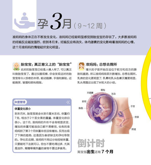 怀孕产检分娩全程指导 （汉竹）孕产育儿 孕期指导 孕妇饮食  分娩知识 胎教 商品图3