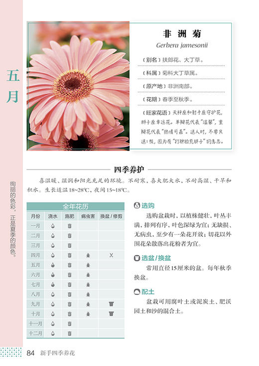 新书包邮  《新手四季养花》花样爷爷 王意成  养花秘籍 花草园艺 植物花卉书籍 休闲生活 商品图3