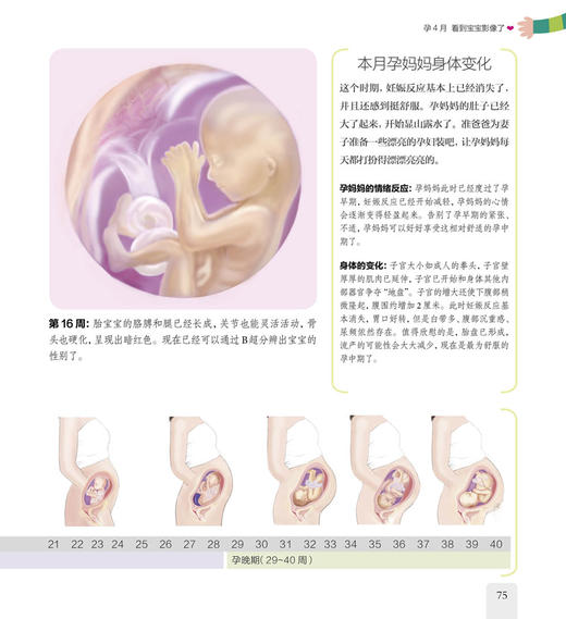 准爸爸必知99件事（汉竹）新书 胎教 护理新生儿 孕期实用指南 孕期营养 孕产育儿 商品图2