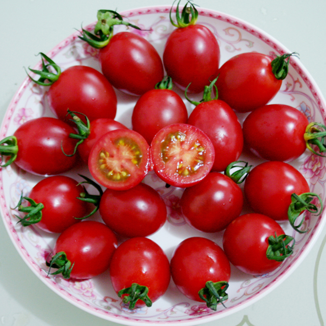 樱桃小番茄1斤装