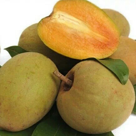 海南富硒甜如蜜 人心果 仙人果 新鲜水果 1件1斤 3件起拍