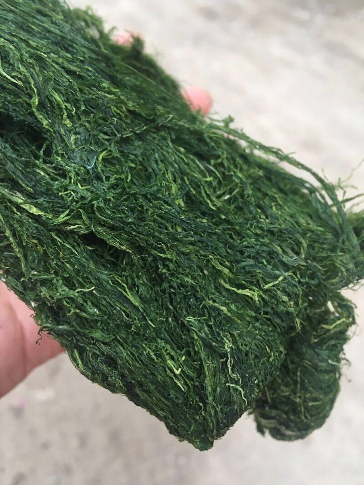 宁波象山纯野生海苔 爱做美食的人有好多吃法