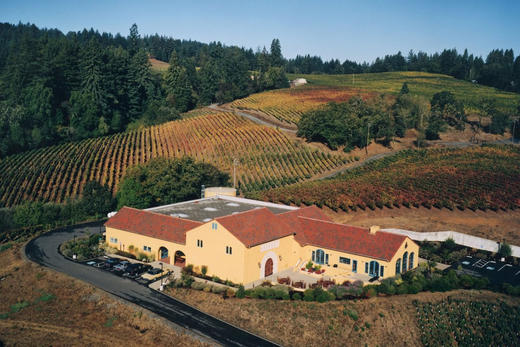 桃乐丝特选大城堡干红葡萄酒 TORRES Grans Muralles 2011 商品图4