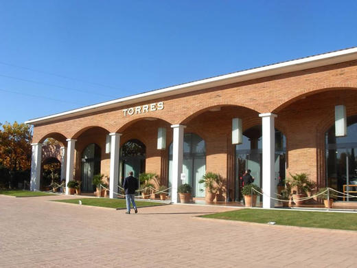 桃乐丝特选大城堡干红葡萄酒 TORRES Grans Muralles 2011 商品图2