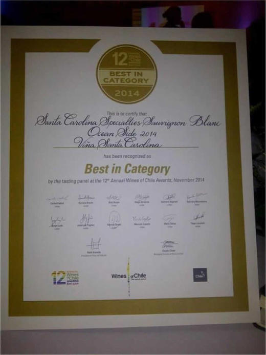 圣卡罗至臻珍藏红葡萄酒 SANTA CAROLINA VSC 商品图4