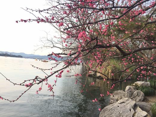 超哥测试3.16 商品图0