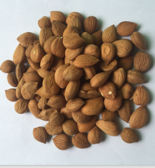 带皮红杏仁(南杏)