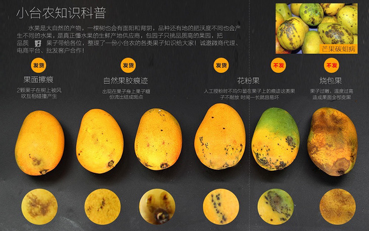 【海南小台农芒果】 -核薄-肉厚 ~果味浓