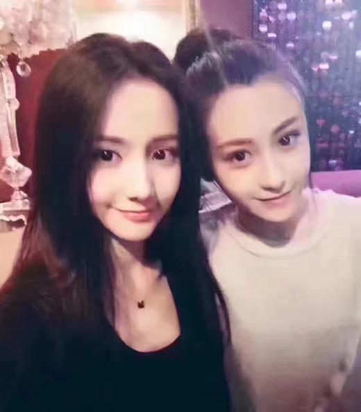 Swarovski 施华洛世奇黑天鹅项链 商品图5