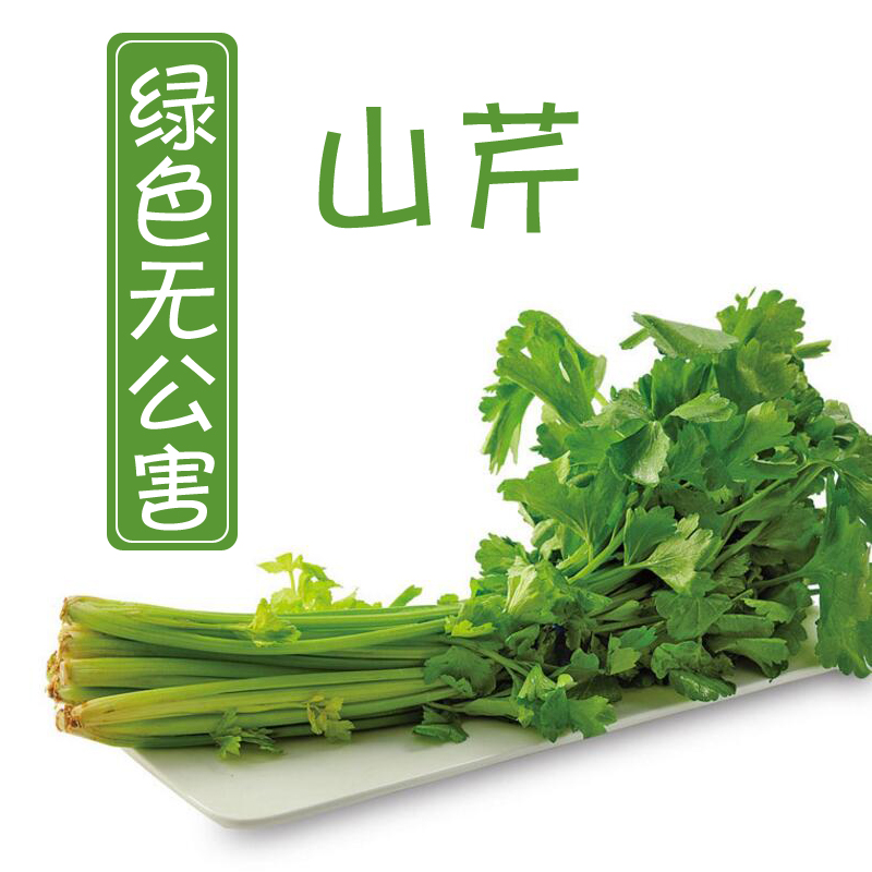 沂蒙山区绿色无公害山芹5斤装