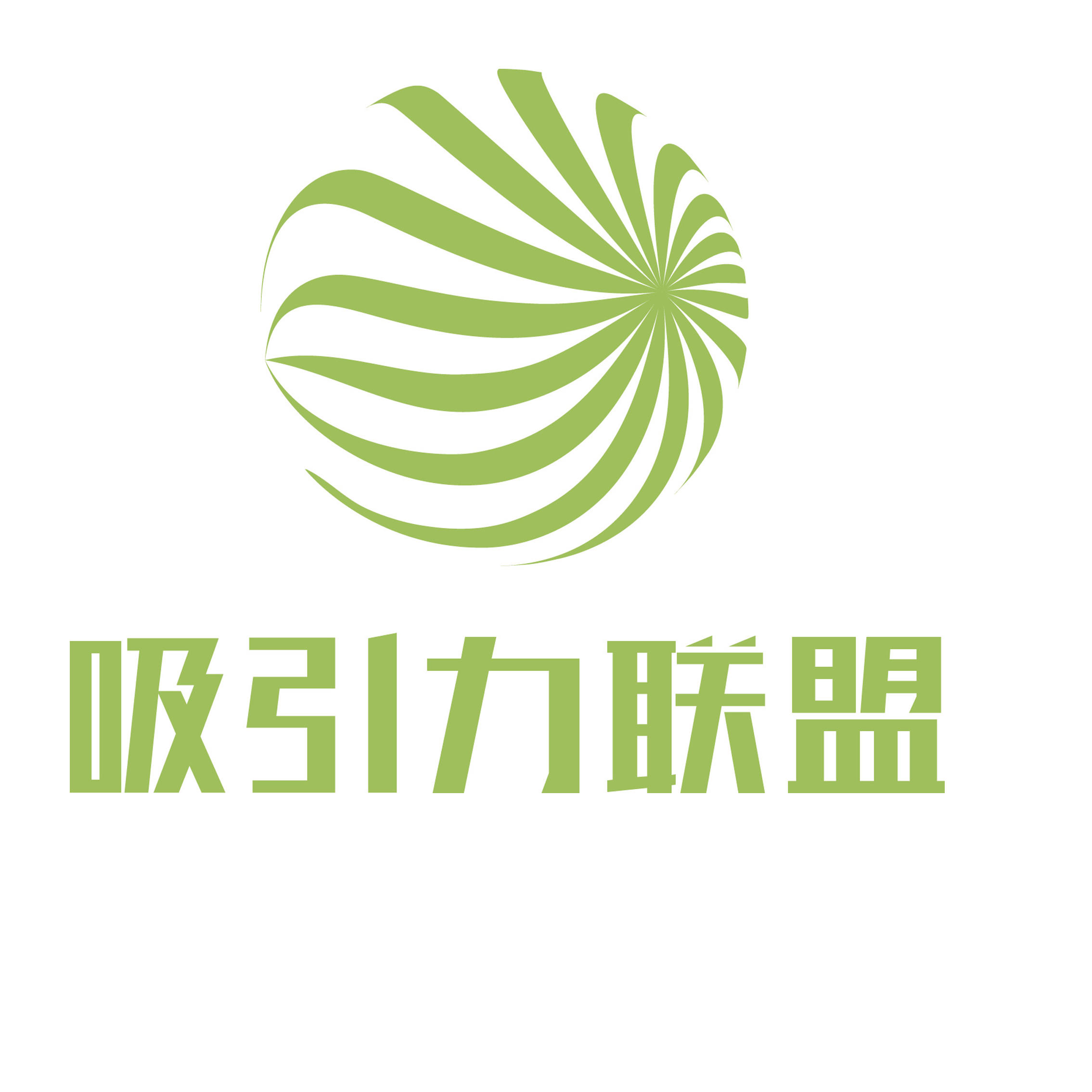 吸引力联盟美国直邮200511