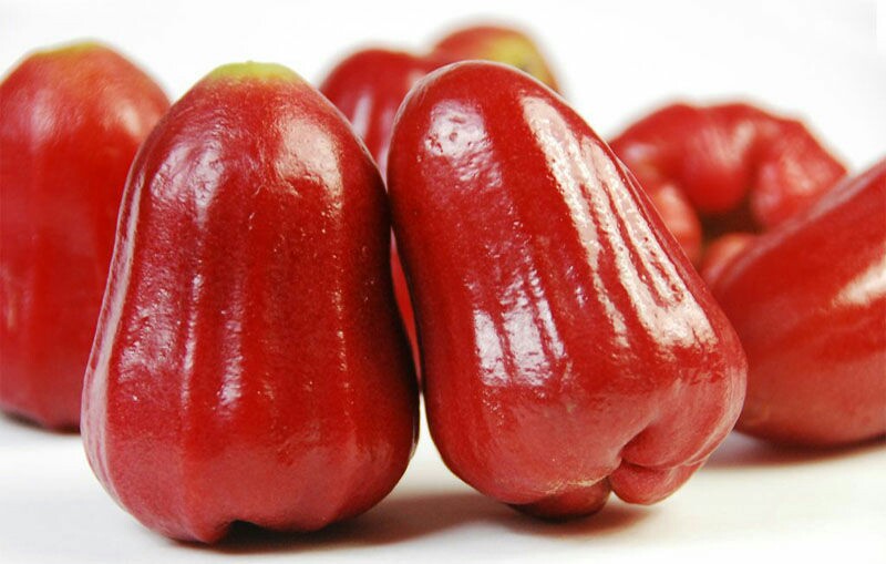 (微信公众号认证)                          水果鲜切