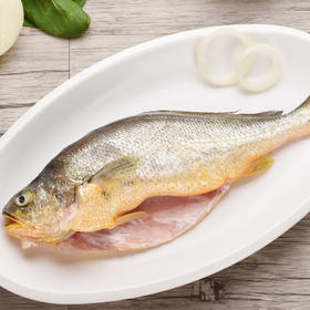 真空鲜冻咸红口鱼 条(400-500g)