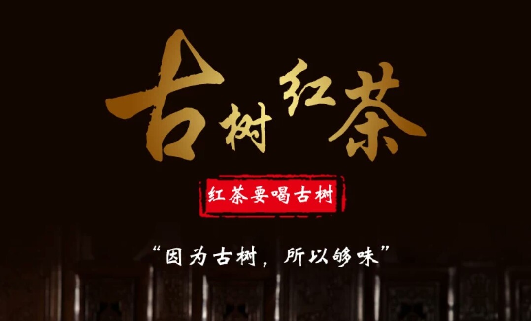 同厚昌古树红茶120