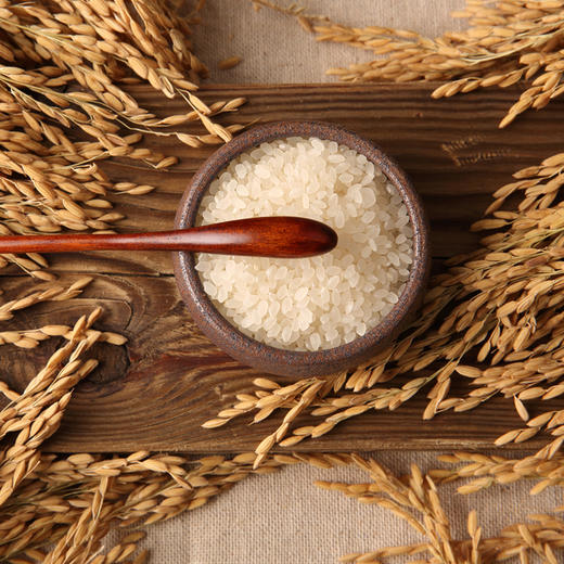 2025新米 谷怡斋 丹东产 有机越光米 1kg 商品图2