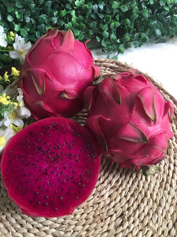 海南蜜宝红心大果一枚600g±50g装【现货配送】