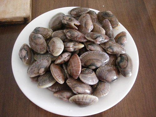 新鲜水产花甲500g±50g