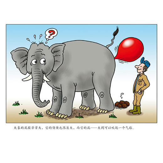 《呀！屁股》一本畅销、幽默的屁股科普绘本 商品图2