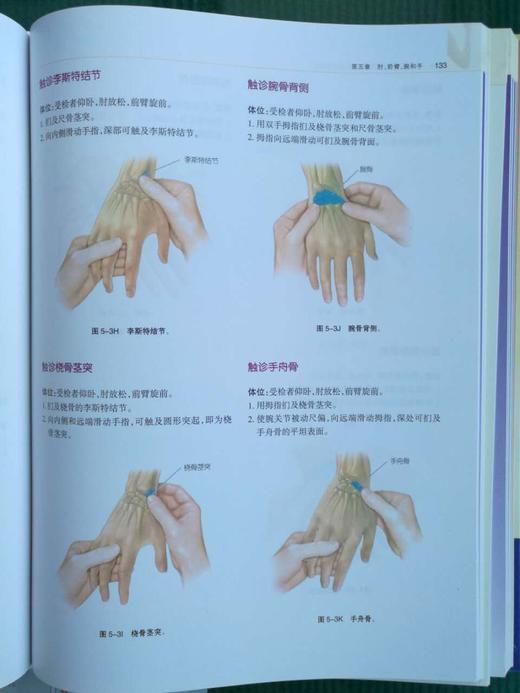 功能解剖：肌与骨骼的解剖——功能及触诊 商品图9