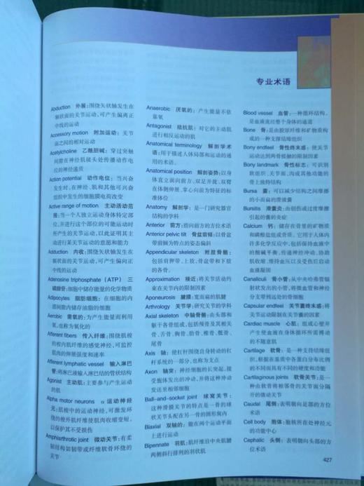 功能解剖：肌与骨骼的解剖——功能及触诊 商品图13