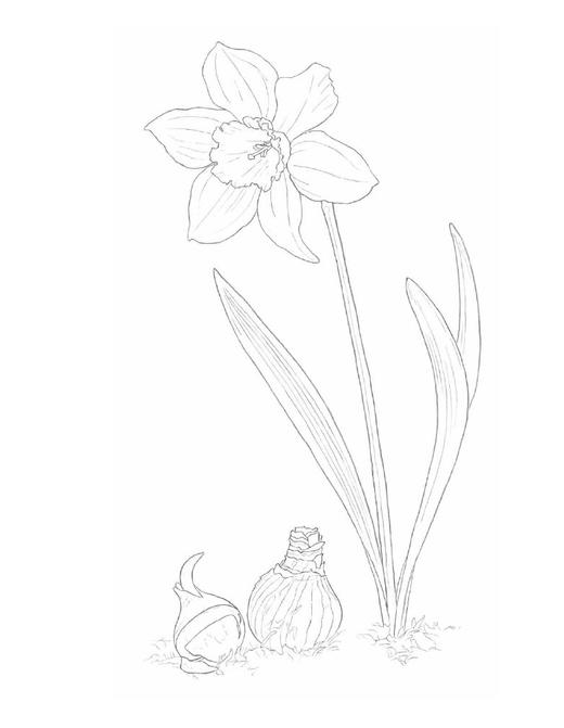 春日花绘 商品图2