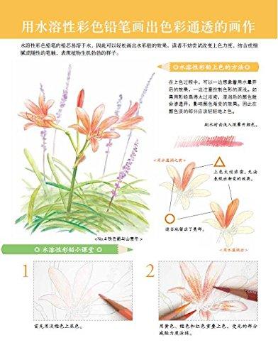 秋日花绘 商品图3