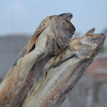 406 柴鱼 1 条 135克至160克 商品图0