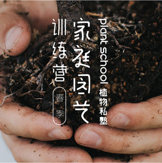#90天 家庭园艺成长营# 商品图0