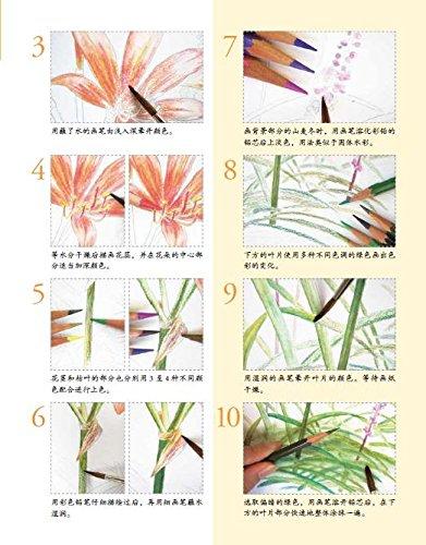 秋日花绘 商品图2