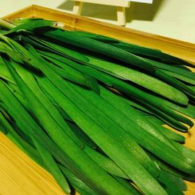 802农场【春季头茬韭菜预售】2斤送半斤包邮装