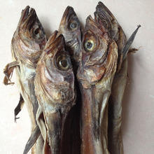 406 柴鱼 1 条 135克至160克 商品图1