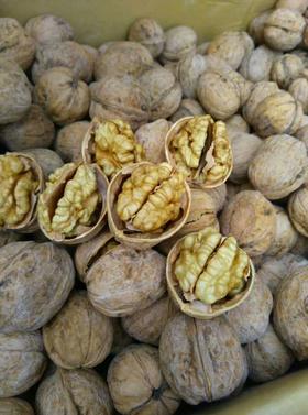 纸皮核桃500g