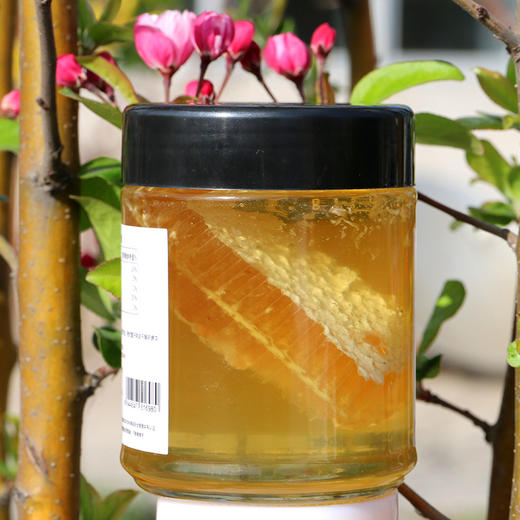 【包邮】蜂巢蜜巢泡蜜_密云深山洋槐蜂蜜420g+巢蜜80g组成_精选好蜂蜜500g 商品图2