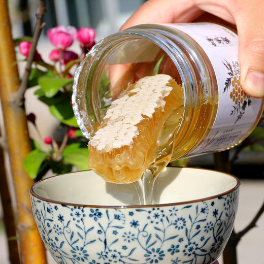 【包邮】蜂巢蜜巢泡蜜_密云深山洋槐蜂蜜420g+巢蜜80g组成_精选好蜂蜜500g 商品图1