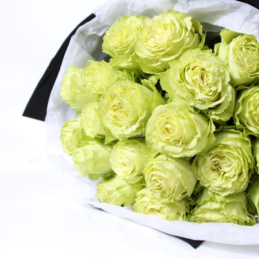 花音集甄选19支“进口绿柠檬玫瑰” |花音集 北京5环内免费送花上门 商品图2
