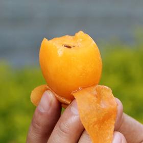 云南枇杷300g  5~6个