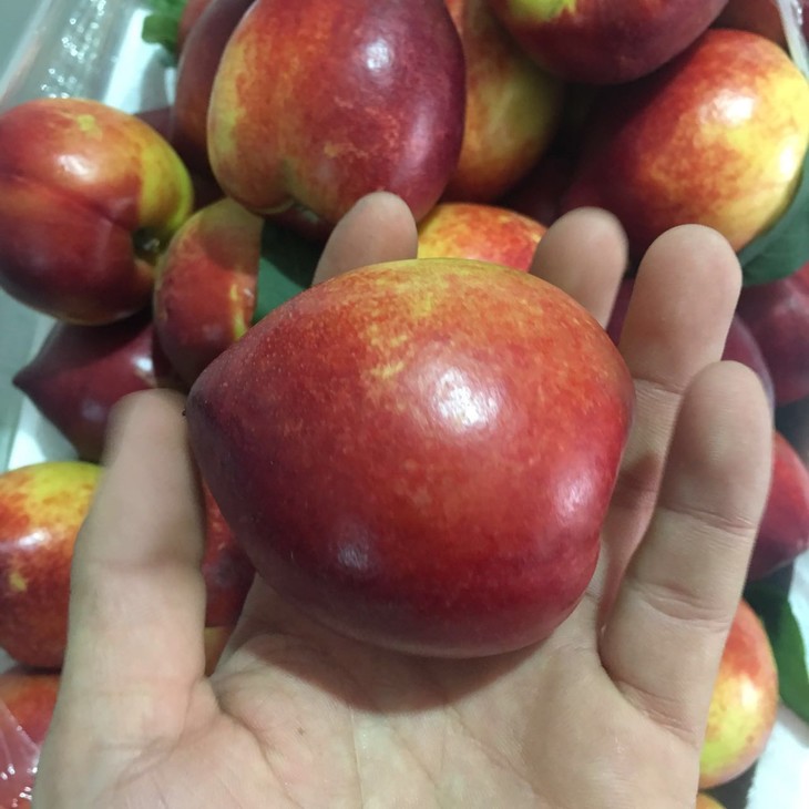 【大连油桃】2斤/份