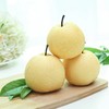 平遥酥梨4个1kg+ 商品缩略图3