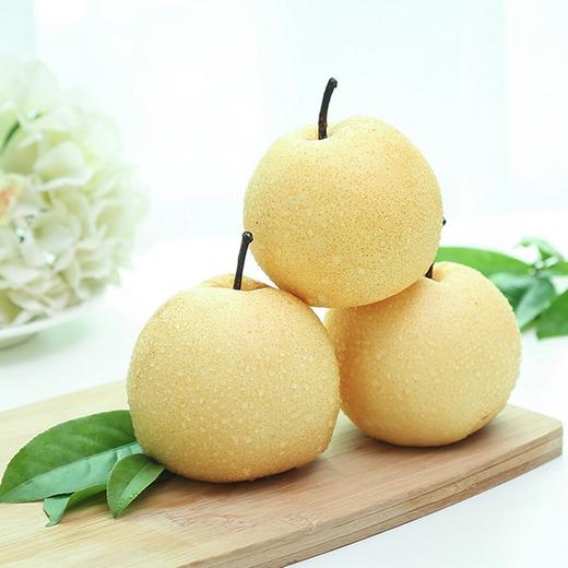 平遥酥梨4个1kg+ 商品图3
