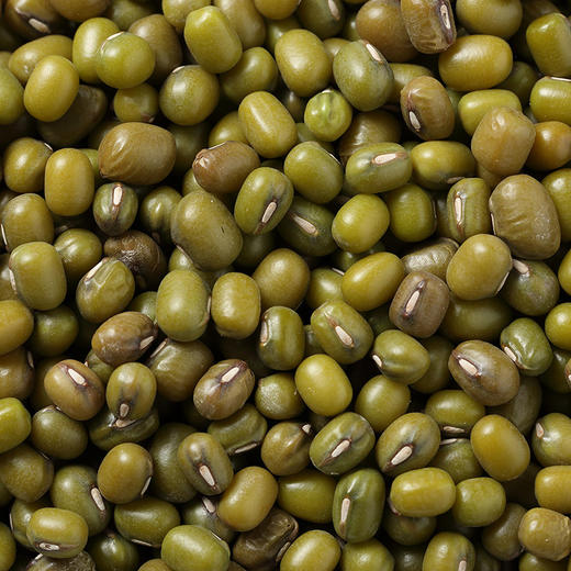 谷怡斋 扎鲁特有机绿豆1kg 商品图4