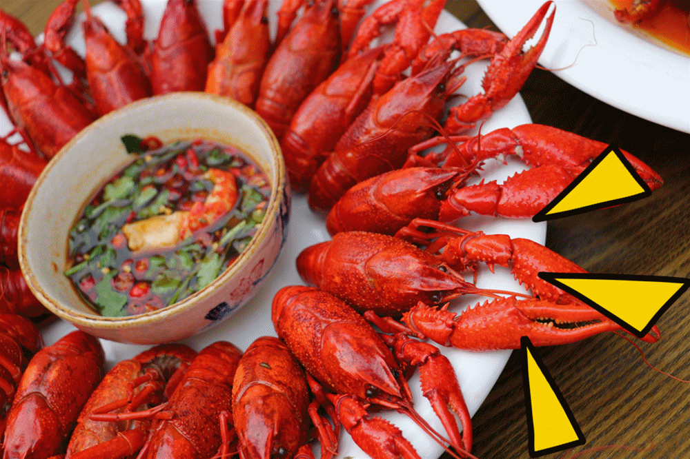 水水龙虾价值300元双人套餐限量抢!