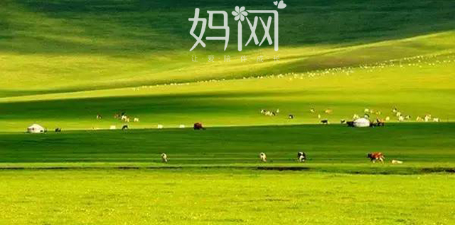 【妈网】暑假跟着妈网一起畅游呼伦贝尔大草原第3期，骑着马，听着风，闻着草，做着梦