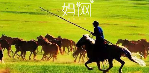 【妈网】暑假跟着妈网一起畅游呼伦贝尔大草原第3期，骑着马，听着风，闻着草，做着梦 商品图1