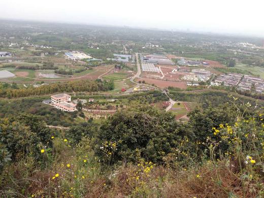 【春游季】4月23日周日杨梅小镇爬山赏花放风筝周末亲子行！ 商品图3