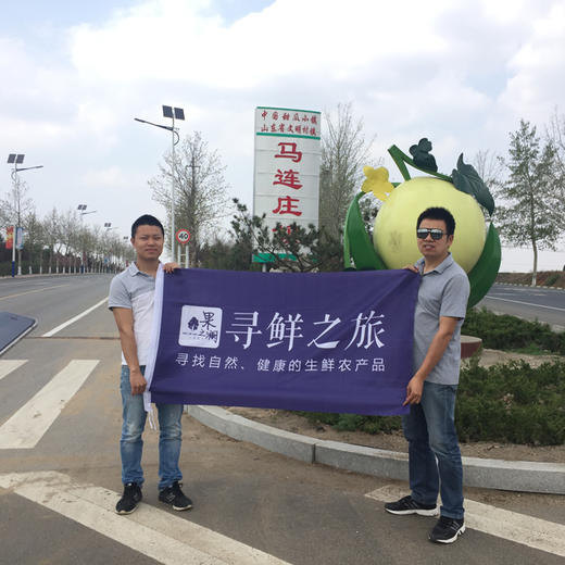 【2026年！马连庄小甜瓜 】果之澜签约基地严苛甄选 ！脆甜爽口，瓜香浓郁 ，带瓤一起吃独特新体验。山东基地直发，全国包邮~ 商品图2